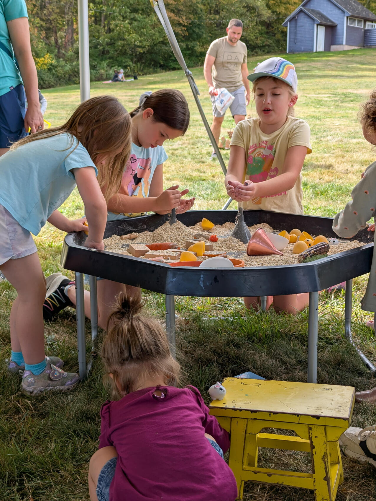 Brooksvale Fall Festival